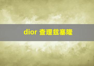 dior 查理兹塞隆